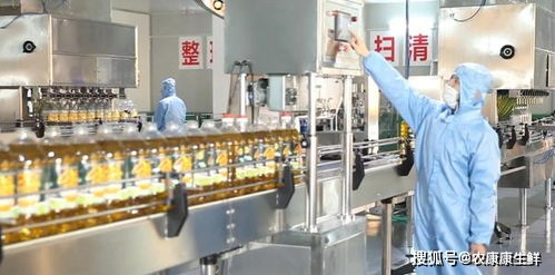 第23屆中國農(nóng)產(chǎn)品加工業(yè)投資貿(mào)易洽談會即將在駐馬店隆重舉行