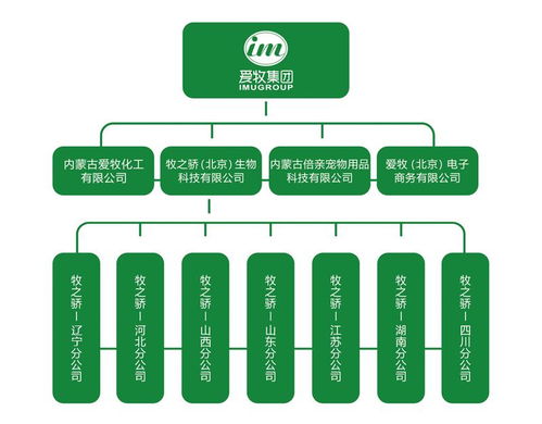 牧之驕產(chǎn)品匠心獨(dú)具，愛牧集團(tuán)畜博會(huì)溢彩流光——網(wǎng)絡(luò)文化經(jīng)營賦能現(xiàn)代畜牧業(yè)